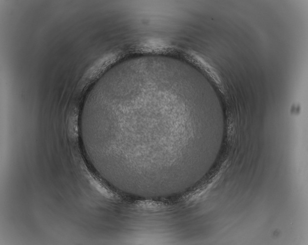 X0000091350633200708171432