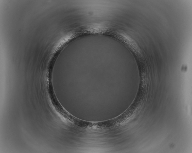 X0000091350634200708171432