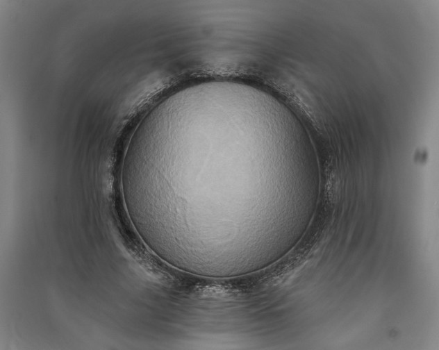 X0000091350635200708171432