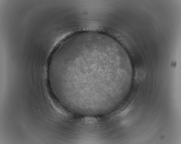 X0000091350636200708171432