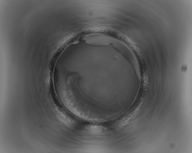 X0000091350637200708171432