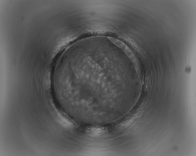 X0000091350638200708171432