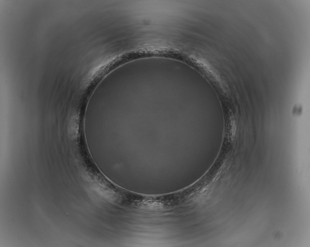 X0000091350640200708171432