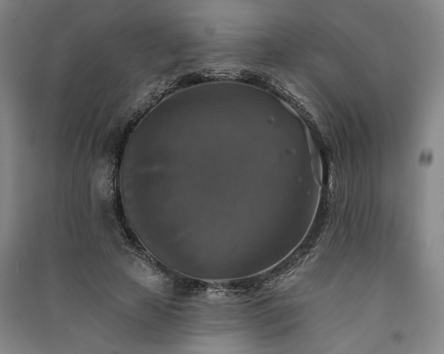X0000091350641200708171432