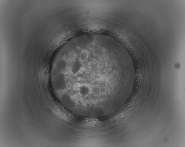 X0000091350642200708171432