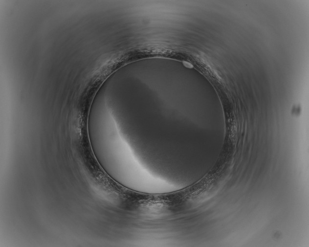 X0000091350643200708171432