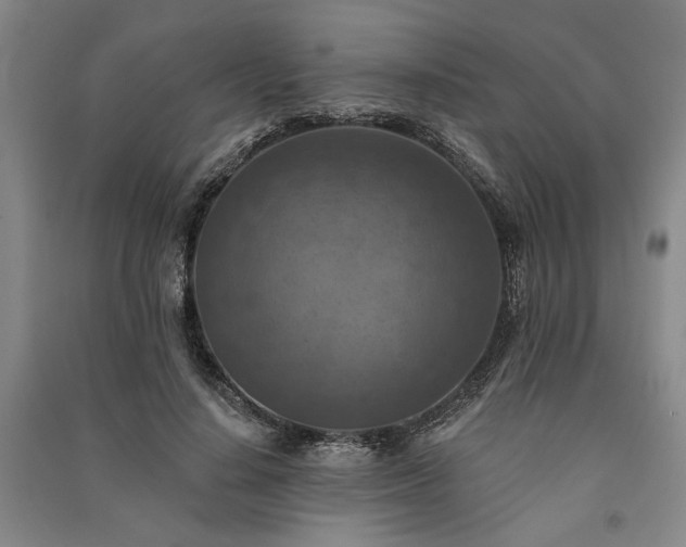 X0000091350644200708171432