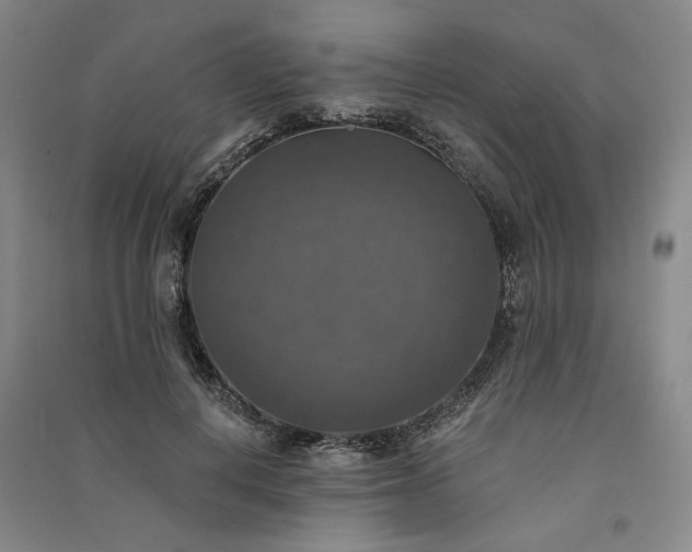 X0000091350648200708171432