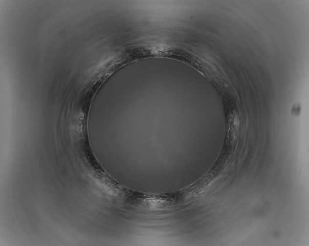 X0000091350650200708171432