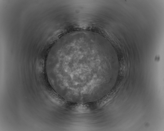 X0000091350656200708171432