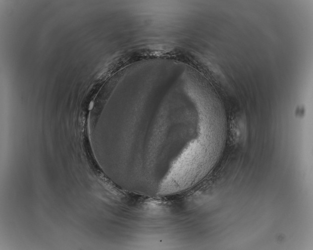 X0000091350657200708171432
