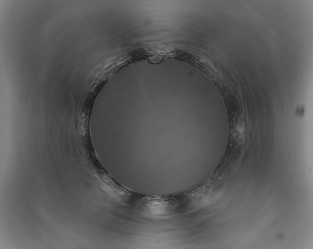 X0000091350658200708171432
