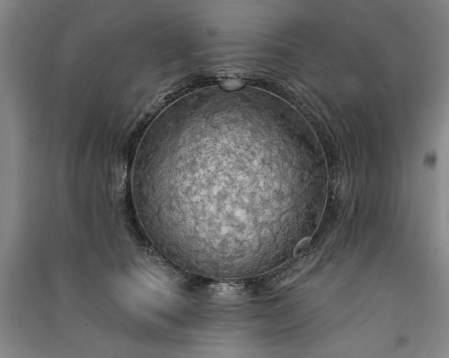 X0000091350660200708171432