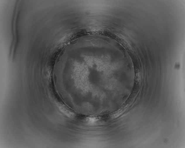 X0000091350662200708171432