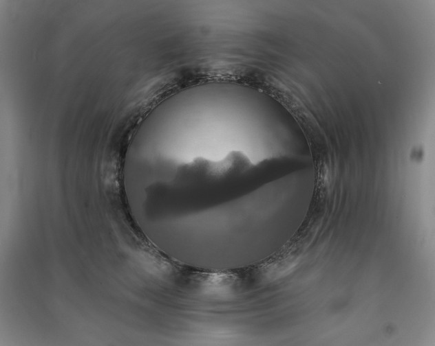 X0000091350663200708171432