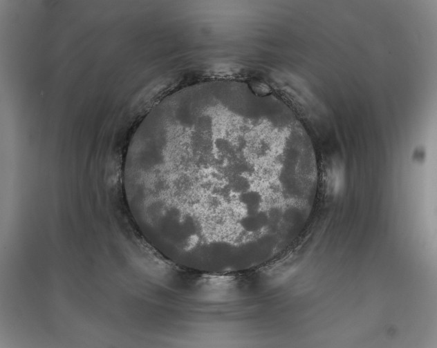 X0000091350665200708171432
