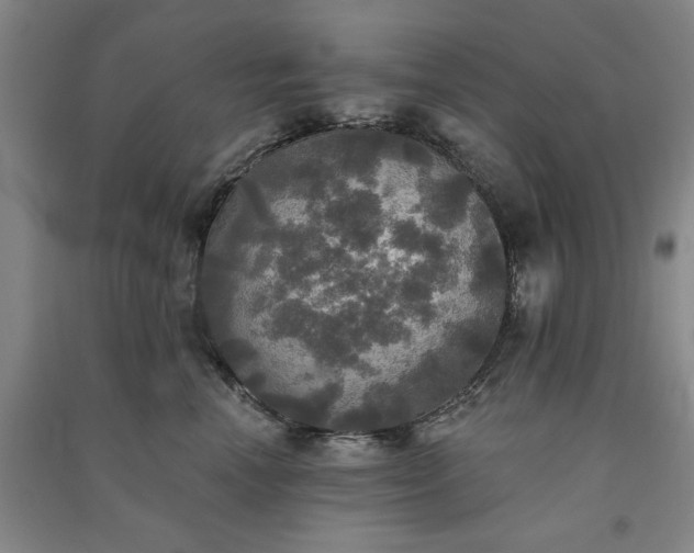 X0000091350666200708171432