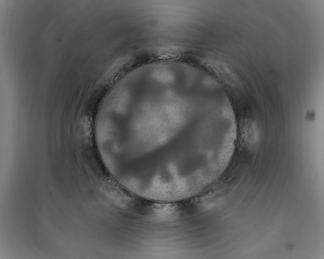 X0000091350667200708171432