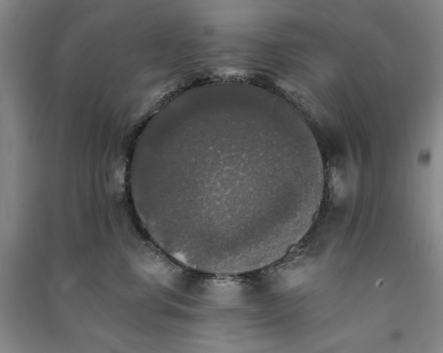 X0000091350668200708171432
