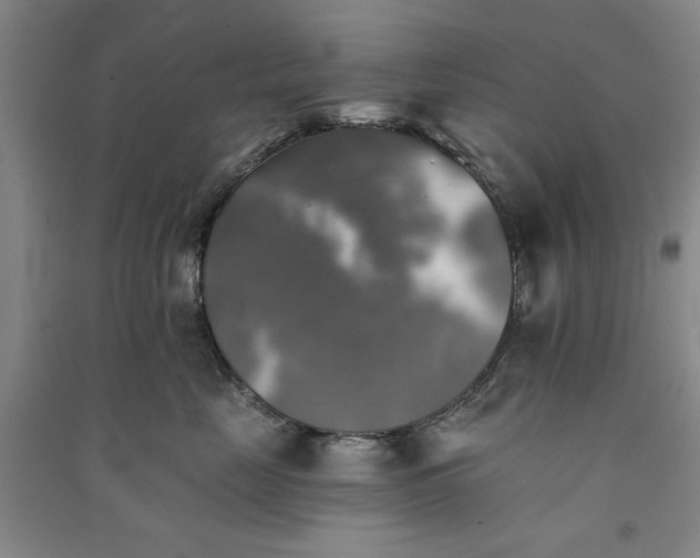 X0000091350669200708171432