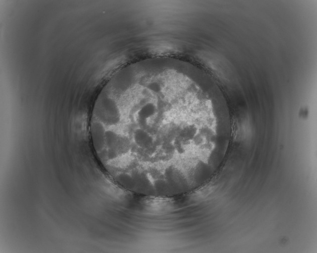 X0000091350670200708171432