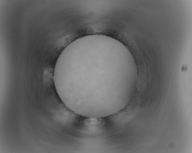 X0000091350672200708171432