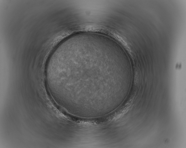 X0000091350673200708171432