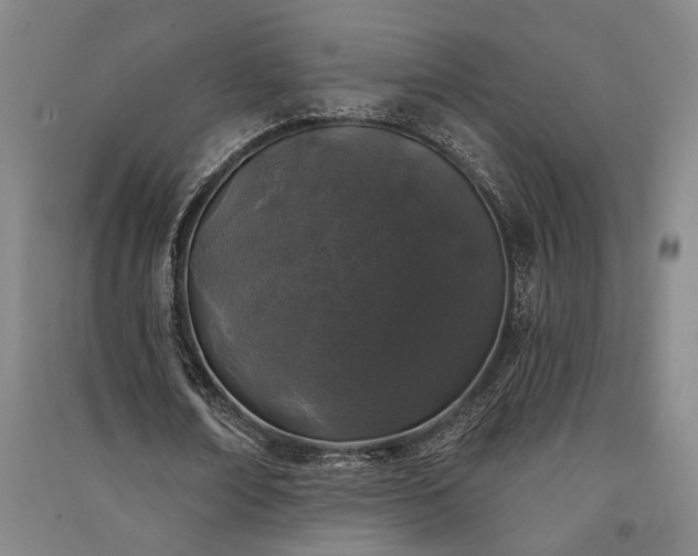 X0000091350674200708171432