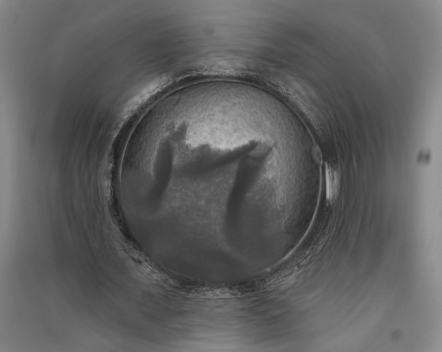 X0000091350675200708171432