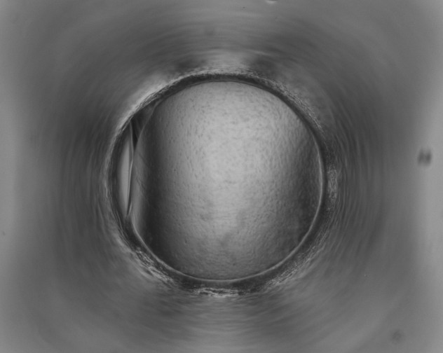 X0000091350676200708171432