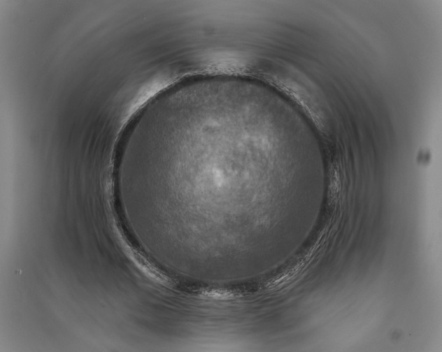 X0000091350677200708171432