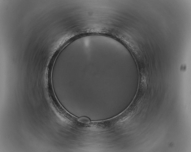 X0000091350678200708171432