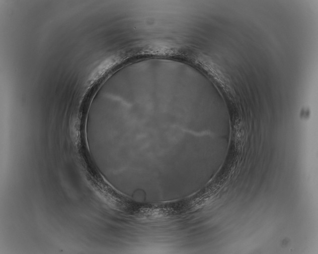 X0000091350679200708171432