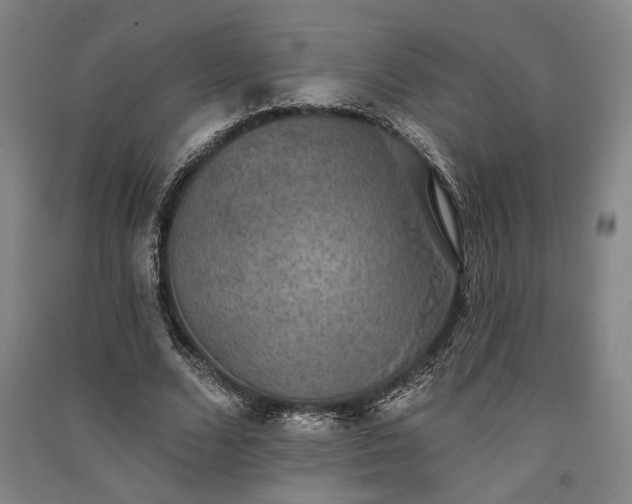 X0000091350680200708171432