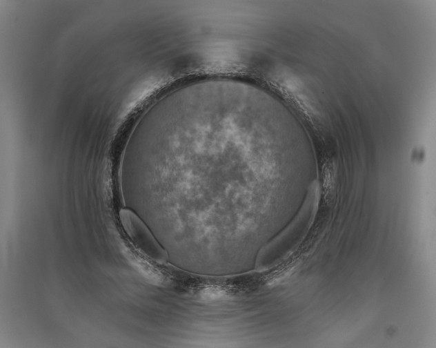 X0000091350684200708171432