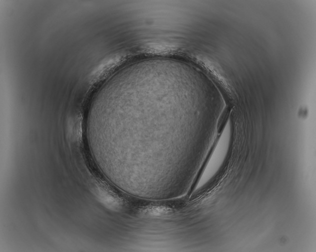 X0000091350685200708171432