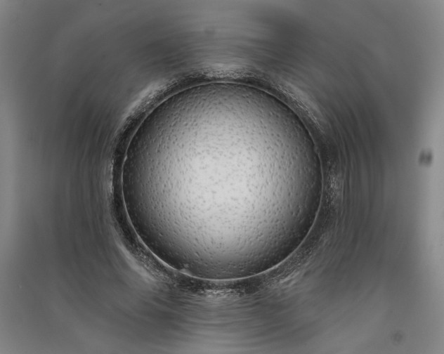 X0000091350686200708171432