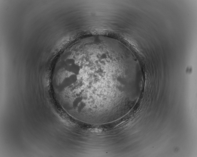 X0000091350687200708171431