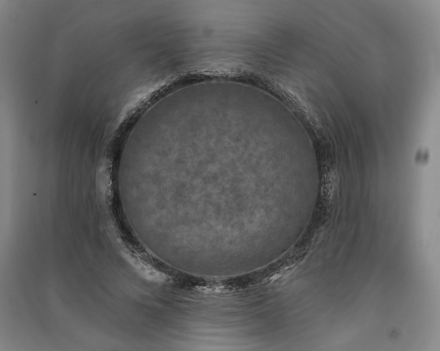 X0000091350688200708171431