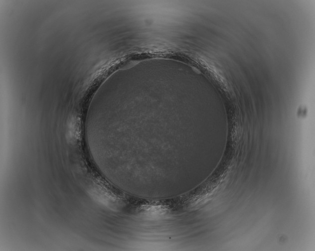 X0000091350689200708171431