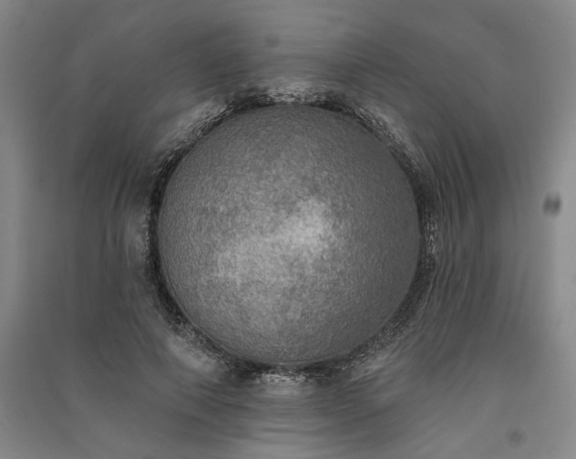 X0000091350690200708171431
