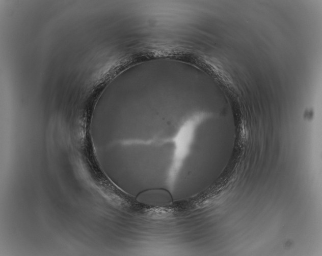 X0000091350691200708171431