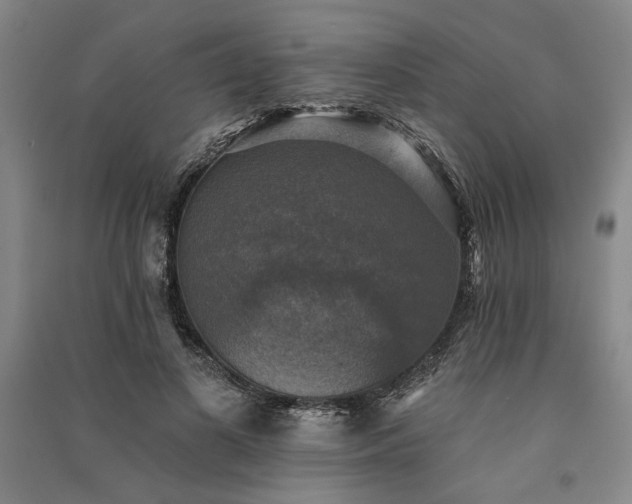 X0000091350693200708171431