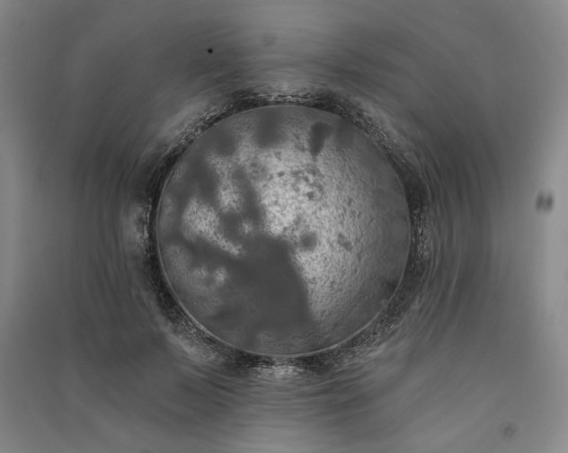 X0000091350695200708171431