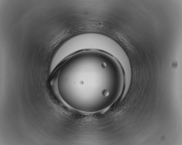X0000091350696200708171431