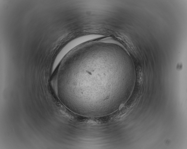 X0000091350697200708171431