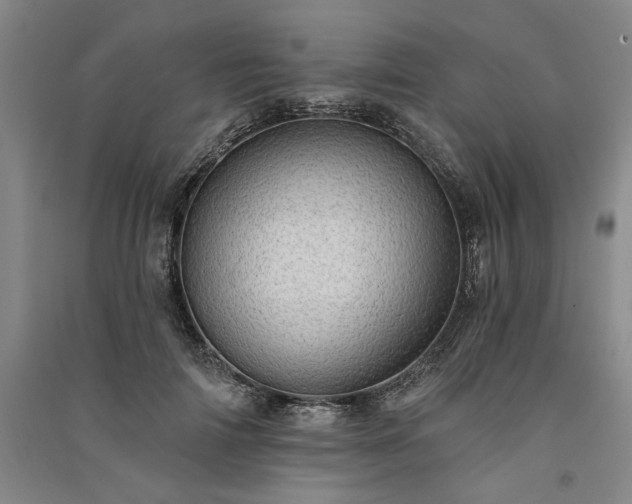 X0000091350698200708171431