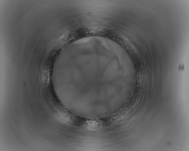 X0000091350703200708171431