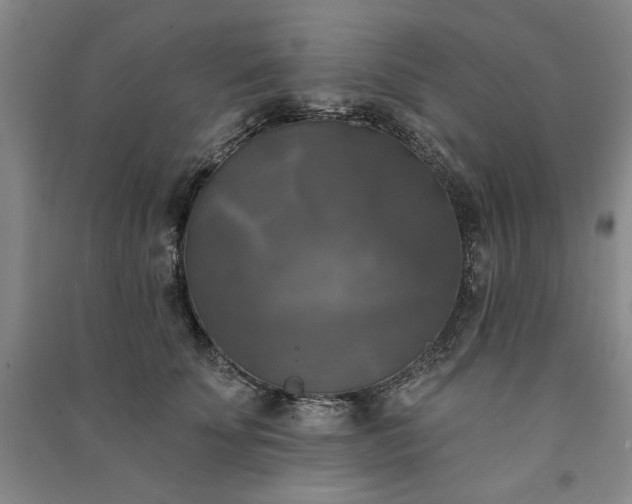 X0000091350707200708171431