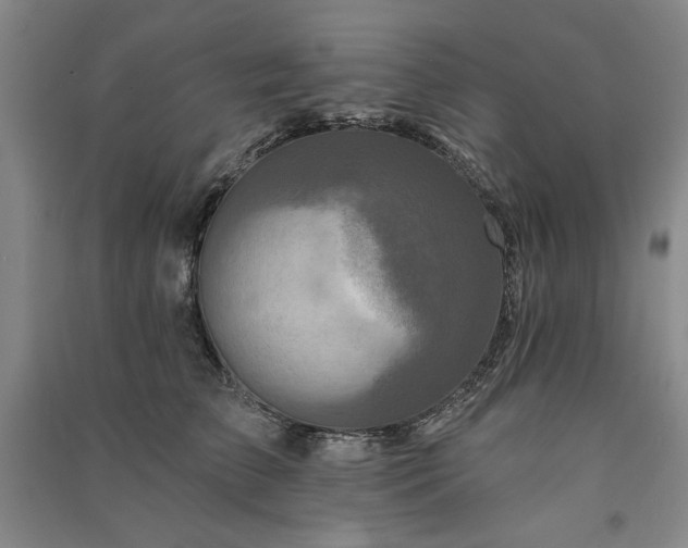 X0000091350709200708171431